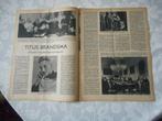 Titus Brandsma. Zaligverklaringsproces begonnen. 1955., Verzenden, Gebruikt, Overige typen, Christendom | Katholiek