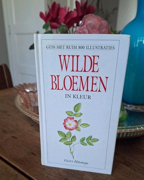 'Wilde Bloemen in kleur' Geert Hüsstege, botanisch boek, Boeken, Natuur, Zo goed als nieuw, Bloemen, Planten en Bomen, Ophalen of Verzenden