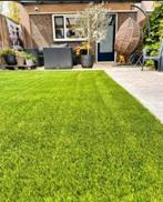 Tuinhulp nodig? Betrouwbare hovenier in de buurt!, Ophalen of Verzenden, Overige typen