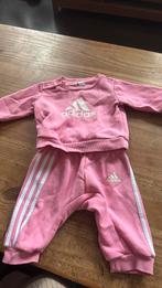 Baby adidas pakje, Ophalen