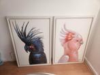 Papegaai Schilderijen Set - 45x65cm, Ophalen of Verzenden
