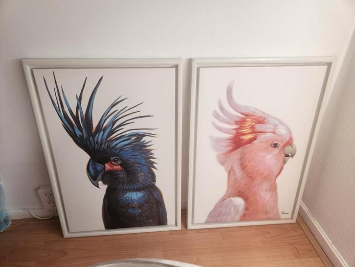 Papegaai Schilderijen Set - 45x65cm, Antiek en Kunst, Kunst | Schilderijen | Klassiek, Ophalen of Verzenden