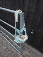 2 kaptooms, Dieren en Toebehoren, Paarden en Pony's | Hoofdstellen en Tuigage, Ophalen of Verzenden, Overige soorten