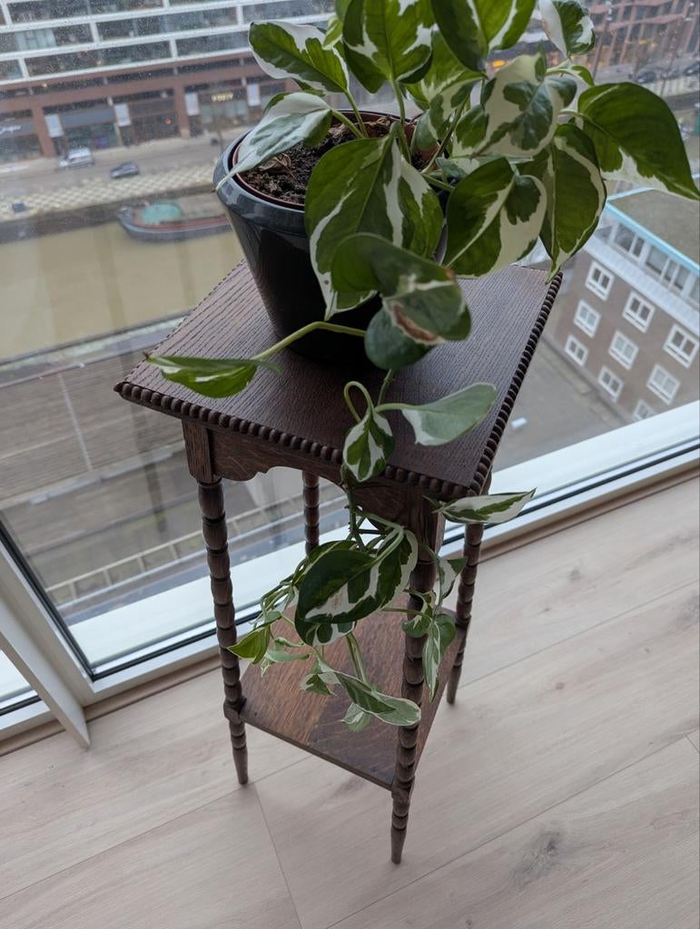 Vintage Bijzettafel met 2 Niveaus - Planten tafel - Hout, Ophalen, Minder dan 55 cm, Gebruikt, 60 cm of meer