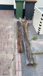 Natuurlijke decoratie gratis, Tuin en Terras, Ophalen, Gebruikt