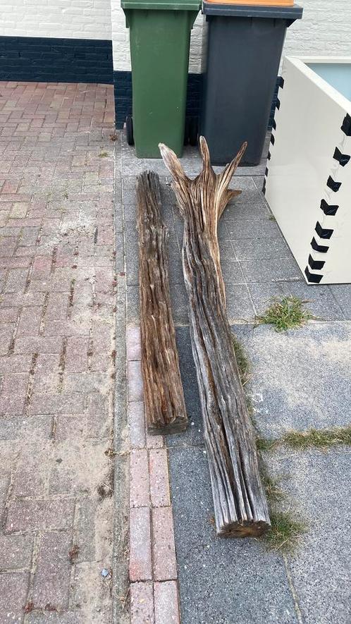 Natuurlijke decoratie gratis, Tuin en Terras, Overige Tuin en Terras, Gebruikt, Ophalen