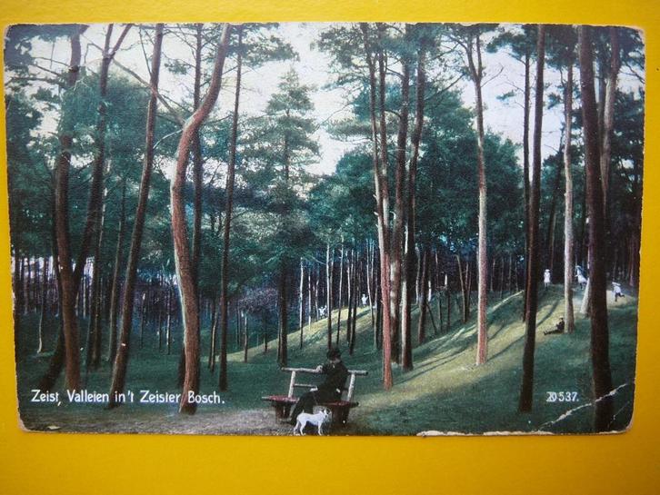 Zeist.  Valleien in het Zeister Bosch., Verzamelen, Ansichtkaarten | Nederland, Gelopen, Utrecht, 1920 tot 1940, Ophalen of Verzenden