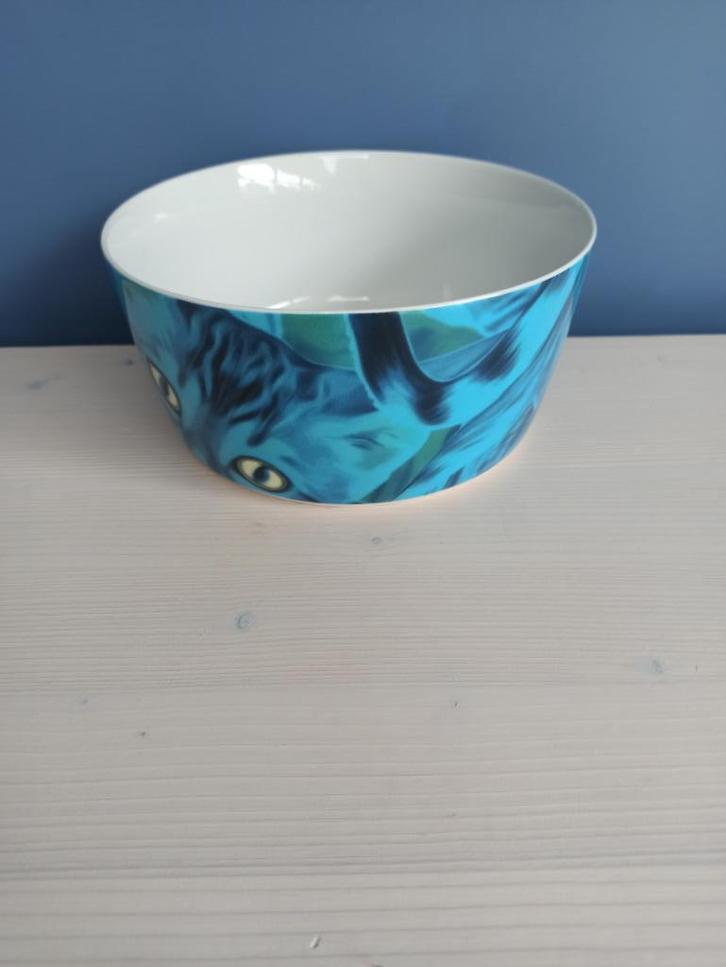 Ikea Giltig - schaal (kom) met kat - design, Huis en Inrichting, Keuken | Servies, Schaal of Schalen, Overige stijlen, Ophalen of Verzenden
