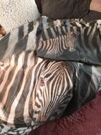 Zebra dekbedovertrek + kussensloop, Dekbedovertrek, Zo goed als nieuw, Ophalen