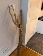 Ghostwood tak (120-140 cm), Ophalen, Zo goed als nieuw