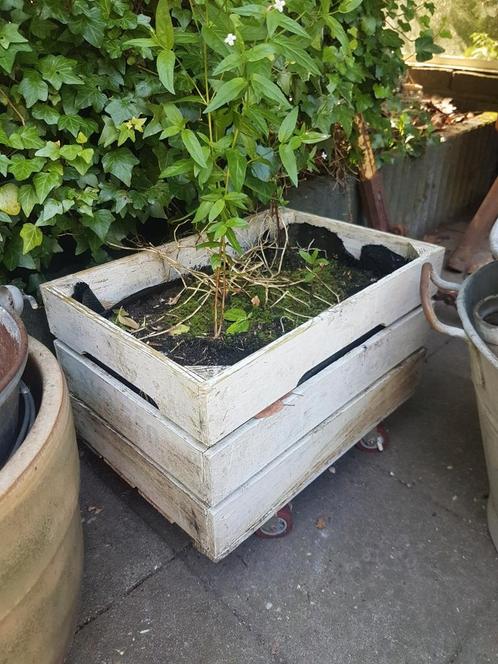 1 fruitkratjefruitkist kratten kisten kistjes kleiner en, Tuin en Terras, Bloembakken en Plantenbakken, Gebruikt, Hout, Binnen
