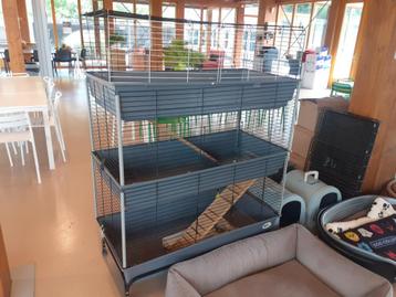 Caviakooi 3 etages beschikbaar voor biedingen