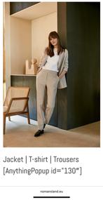 No Man’s Land mt 38 casual soepel vallend grijs pak, Kleding | Dames, Maat 38/40 (M), Kostuum of Pak, Ophalen of Verzenden, Zo goed als nieuw