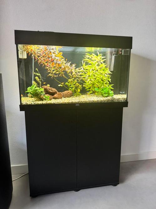 JUWEL Aquarium Rio 125 liter, incl. onderkast LED zwart, Dieren en Toebehoren, Vissen | Aquaria en Toebehoren, Gebruikt, Gevuld zoetwateraquarium
