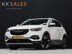Opel Grandland X 1.2 Turbo Business Executive [TREKHAAK, APP, Auto's, Opel, Voorwielaandrijving, Gebruikt, 1199 cc, Leder en Stof