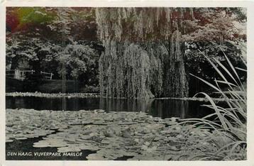 (381-089-033) Den Haag Vijverpark Marlot beschikbaar voor biedingen