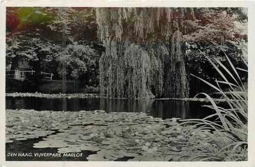 (381-089-033) Den Haag Vijverpark Marlot, Verzamelen, Ansichtkaarten | Nederland, Zuid-Holland, Verzenden