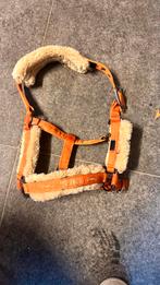 Halster eskadron, Dieren en Toebehoren, Paarden en Pony's | Hoofdstellen en Tuigage, Ophalen of Verzenden
