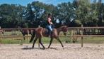 LIEFSTE PONY VAN STAL!!!, Dieren en Toebehoren, Pony's, Merrie, E pony (1.48m - 1.57m), 3 tot 6 jaar