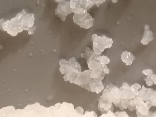 Te Koop Waterkefir /Water Kefir nieuw, Diversen, Levensmiddelen, Ophalen of Verzenden