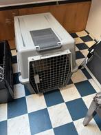 HONDEN TRANSPORT BENCH / BOX, Ophalen, Zo goed als nieuw