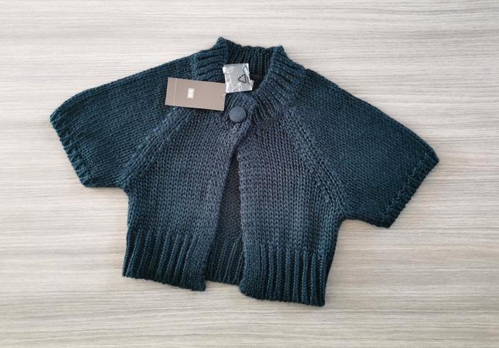 WE mohairwolmix vestjes mt. S, Kleding | Dames, Truien en Vesten, Nieuw, Maat 36 (S), Overige kleuren, Verzenden