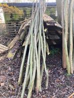 Knotwilgen poters 4-6 cm dik, Tuin en Terras, Ophalen, Volle zon, Overige soorten, 250 tot 400 cm