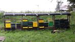 Aantal f2 buckfast 6 raams volken., Dieren en Toebehoren, Bijen