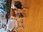 Schleich dieren, Ophalen, Zo goed als nieuw, Paard, Beeldje of Figuurtje