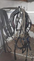 te koop, Dieren en Toebehoren, Ophalen, Zo goed als nieuw, Overige soorten