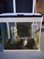 Superfish aquarium, superfish Panorama, Dieren en Toebehoren, Vissen | Aquaria en Toebehoren, Ophalen, Gebruikt, Leeg aquarium