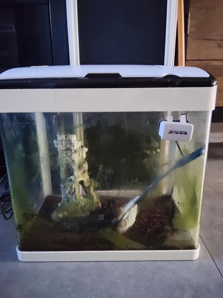 Superfish aquarium, superfish Panorama, Dieren en Toebehoren, Vissen | Aquaria en Toebehoren, Gebruikt, Leeg aquarium, Ophalen