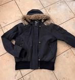 Falcon winter- / skijas, Kleding | Dames, Falcon, Maat 46/48 (XL) of groter, Ophalen of Verzenden, Jack