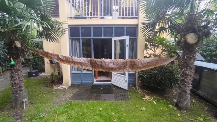 Slangenhuid Birmese python 4 meter, Verzamelen, Dierenverzamelingen, Gebruikt, Overige typen, Reptiel of Amfibie, Ophalen of Verzenden