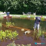 Voorjaarsonderhoud van de vijver door Aquadeco, Tuin en Terras, Vijvers, Ophalen, Nieuw, Nvt, Nvt