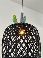 Een nieuw huisje voor 2 parkieten (beide mannetjes), Dieren en Toebehoren, Vogels | Parkieten en Papegaaien, Mannelijk, Parkiet