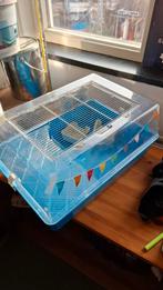Oude hamsterkooi muizenkooi, Dieren en Toebehoren, Kooi, Gebruikt, Minder dan 75 cm, Ophalen