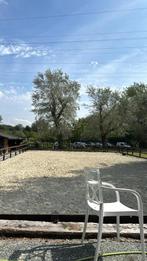 Paardenboxen te huur in Ridderkerk met rijbak & paddock, Stalling, 4 paarden of pony's of meer