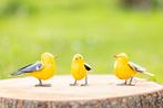 Verschillende kleine vogels van metaal - mooievogels, Ophalen of Verzenden