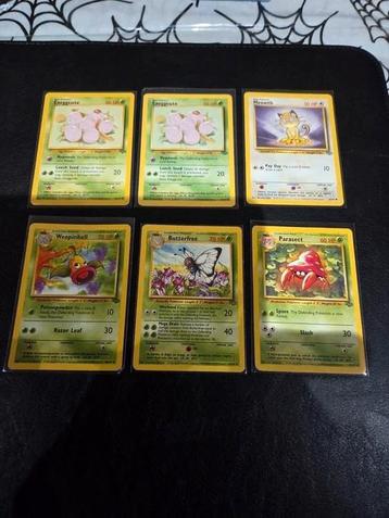 Jungle kaarten beschikbaar voor biedingen