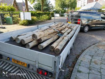 Robinia palen 4 meter te koop 12 stuks beschikbaar voor biedingen