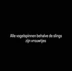 Diverse vogelspinnen met terrarium (zie beschrijving), Dieren en Toebehoren, Spin of Schorpioen