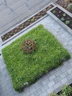 Ornament tuindecoratie kunst tuin terras  beeld, Antiek en Kunst, Kunst | Beelden en Houtsnijwerken, Ophalen of Verzenden