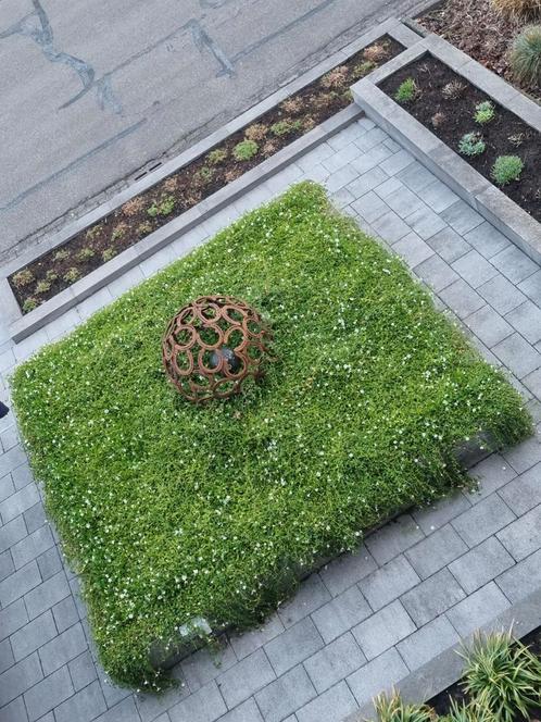 Ornament tuindecoratie kunst tuin terras  beeld, Antiek en Kunst, Kunst | Beelden en Houtsnijwerken, Ophalen of Verzenden