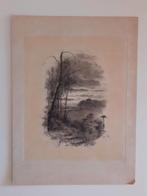 19e eeuwse lithografie Fred Hines, Ophalen of Verzenden