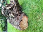 Gratis stuk haardhout., Tuin en Terras, Haardhout, Minder dan 3 m³, Ophalen, Overige houtsoorten, Blokken