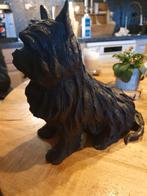 Hond brons leew brons, Tuin en Terras, Ophalen of Verzenden, Gebruikt, Beton, Dierenbeeld