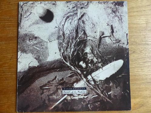 David Sylvian – Secrets Of The Beehive, Cd's en Dvd's, Vinyl | Rock, Gebruikt, Overige genres, 12 inch, Ophalen of Verzenden