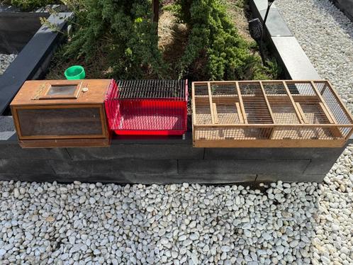 Te koop: drie stuks Vogel transport lopers, Dieren en Toebehoren, Vogels | Toebehoren, Gebruikt, Overige typen, Ophalen