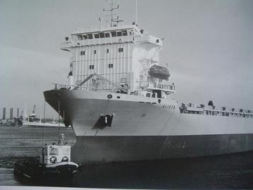 Nederlandse koopvaardijschepen in beeld. Wilde vaart. beschikbaar voor biedingen